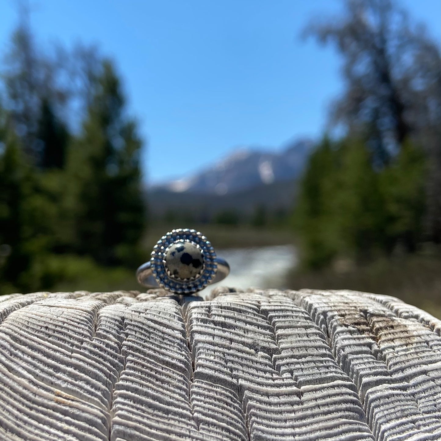 Dalmatian Jasper Ring {Size 7}