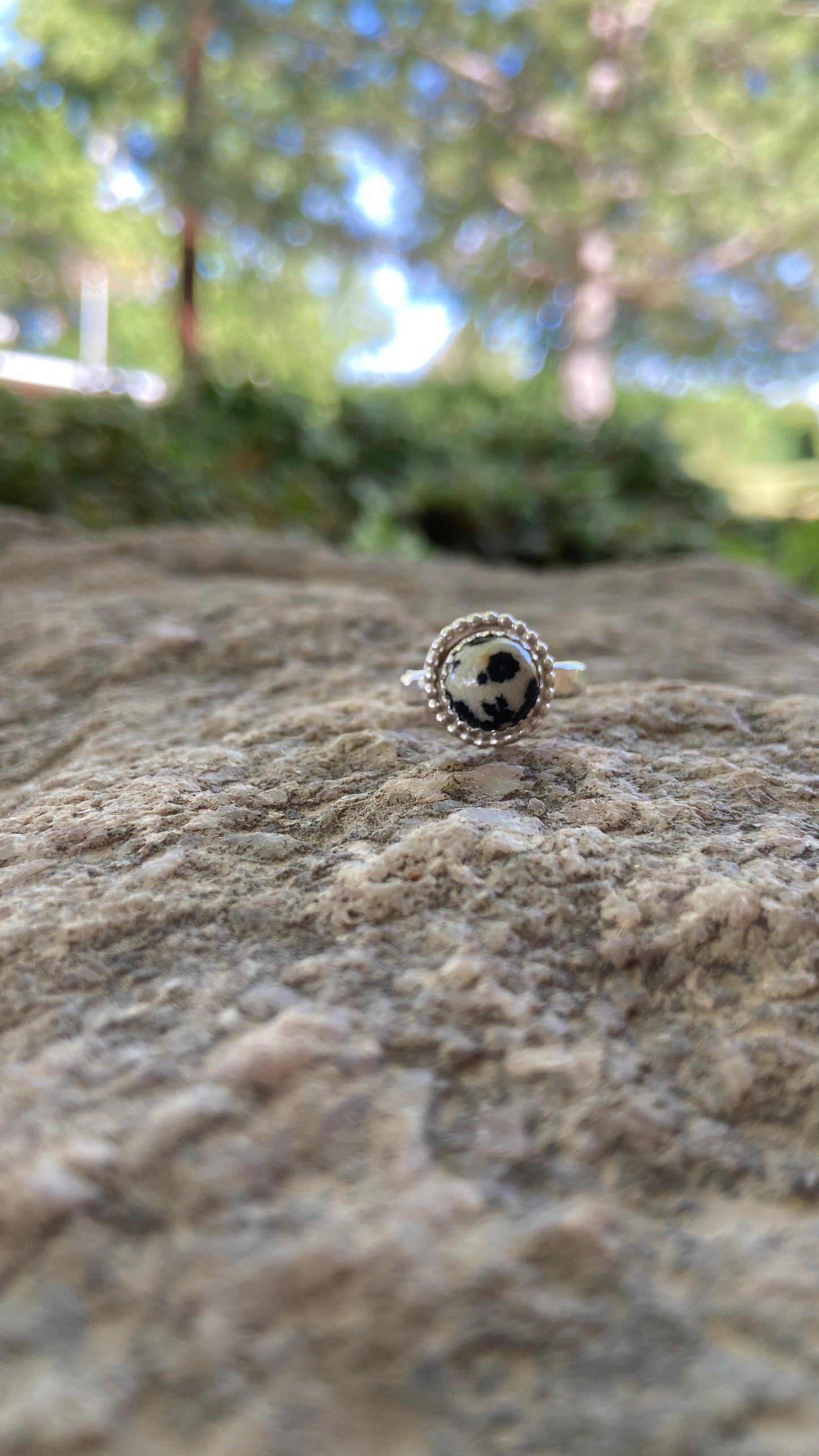 Dalmatian Jasper Ring {Size 4}