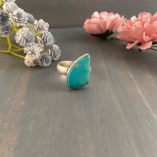 Fin Shaped Turquoise Ring {Size 7}